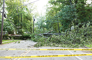 Prepare for summer storms this hurricane season